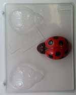 Large ladybugs AO130