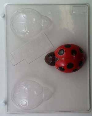 Large ladybugs AO130