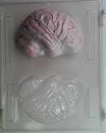 3-D realistic brain H048