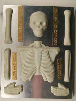 Large Skeleton (top half) H102